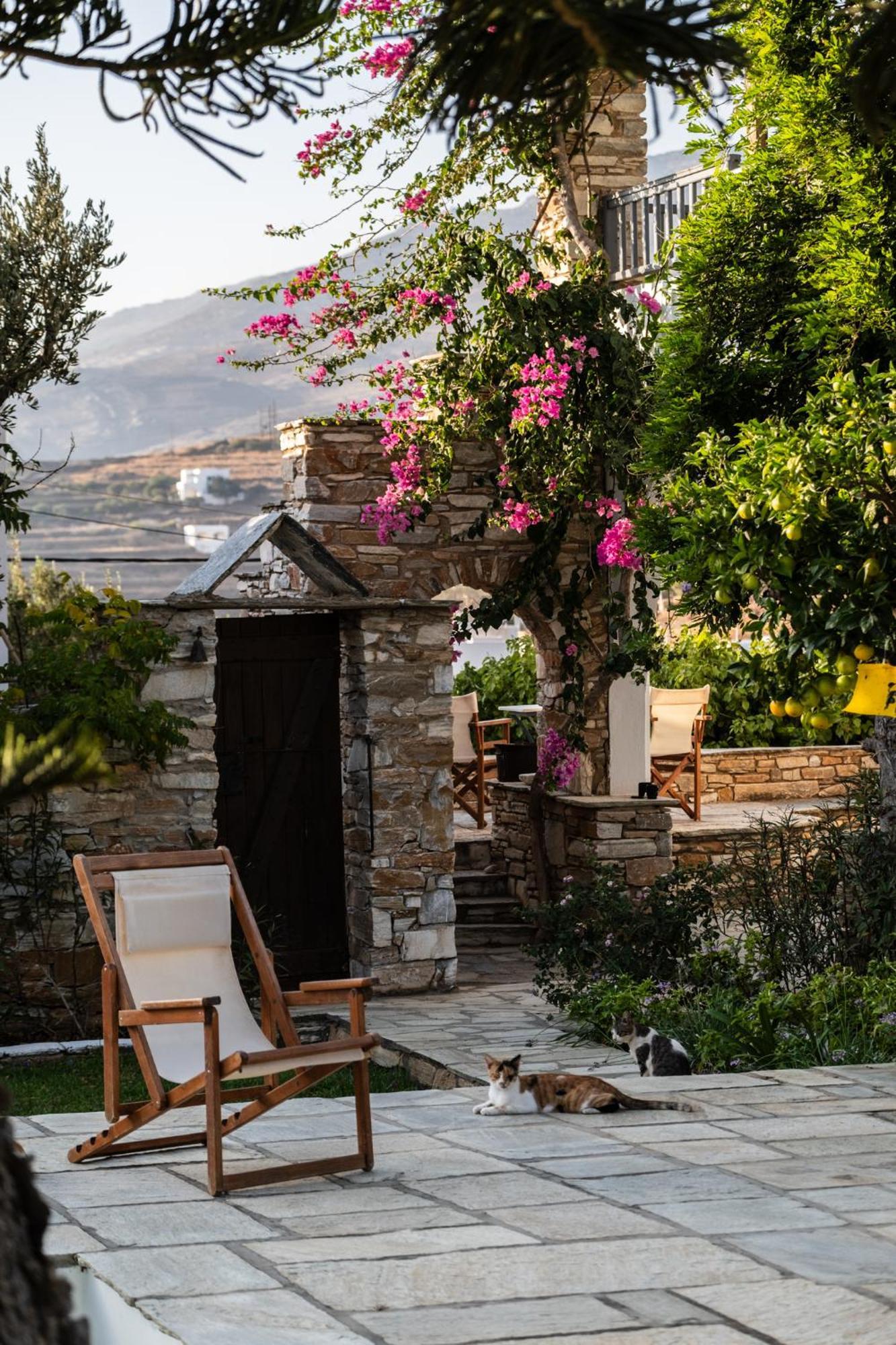 Romano Garden House - Land Tales Agios Romanos Ngoại thất bức ảnh