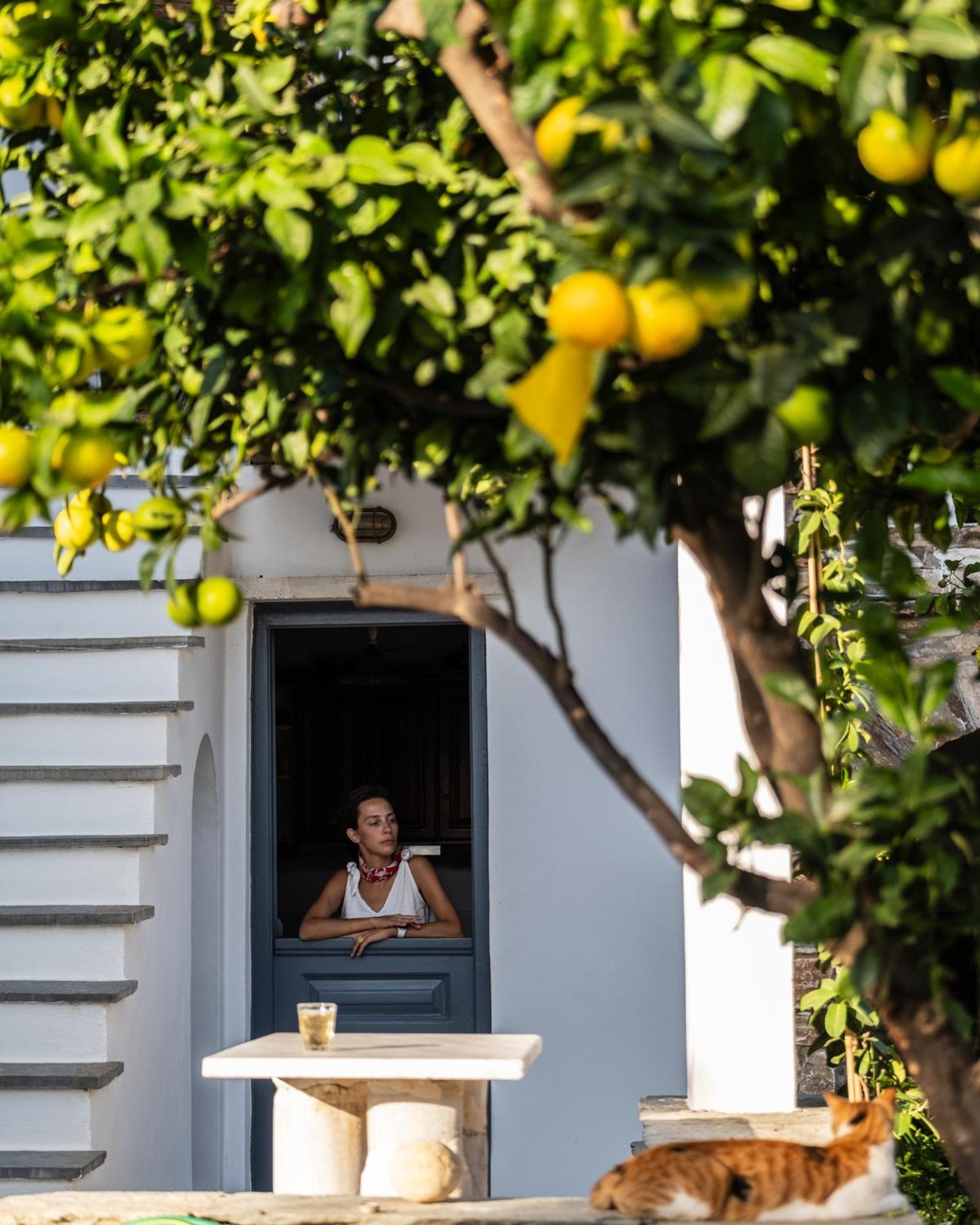 Romano Garden House - Land Tales Agios Romanos Ngoại thất bức ảnh