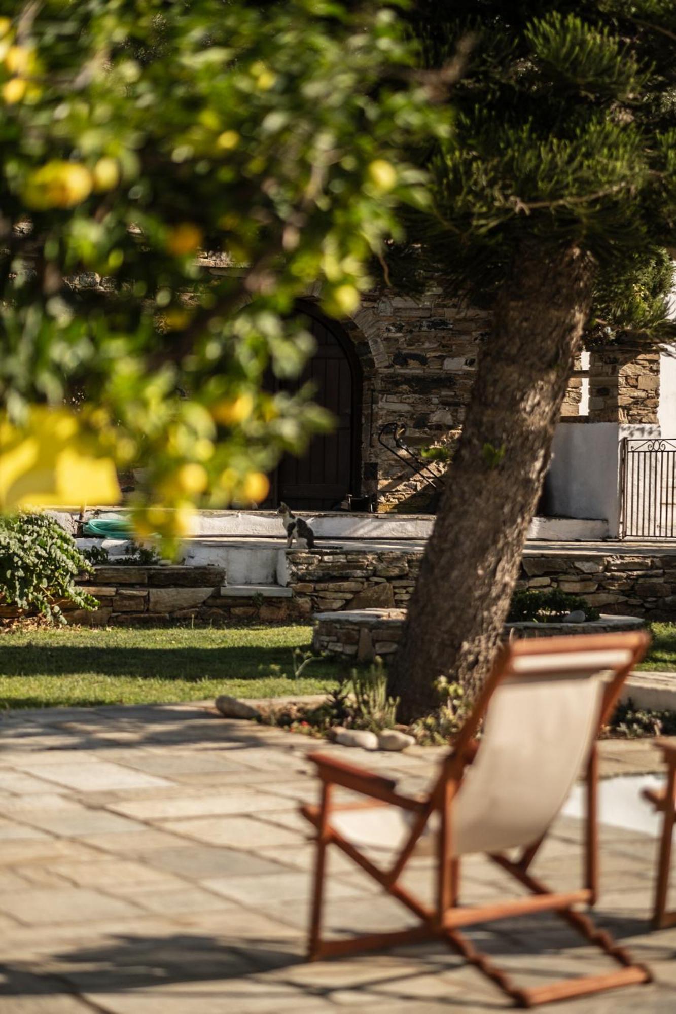 Romano Garden House - Land Tales Agios Romanos Ngoại thất bức ảnh